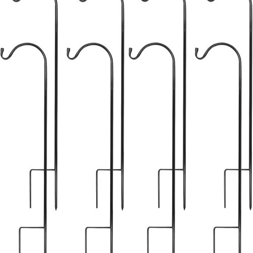 51C2gDFGHoL._AC_SX679_